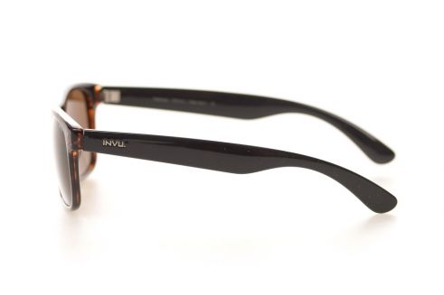 Мужские очки Invu T2412C
